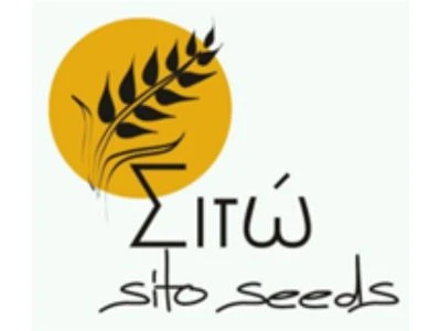 Δίκτυο Διατήρησης Παραδοσιακών Σπόρων “Σιτώ”